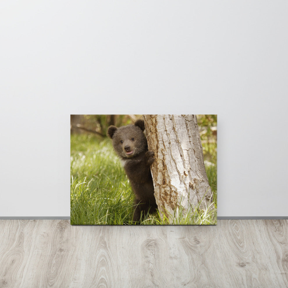 Baby Grizzly Bear Cub Behind Tree In Meadow Wildlife Photo Canvas Wall Art Print, 18" X 24"