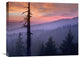 "Sunset Over Forest, Crater Lake National Park, Oregon" Artwork, 24" x 18"