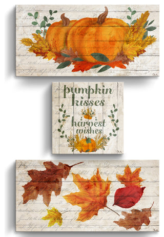 Pumpkin Kisses & Harvest Wishes 3-Pc Fall Canvas Wall Art Set