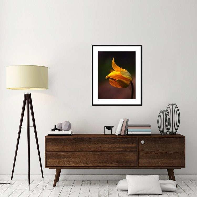 "Shine" Framed Digital Print by Kent Mathiesen, 31x38"