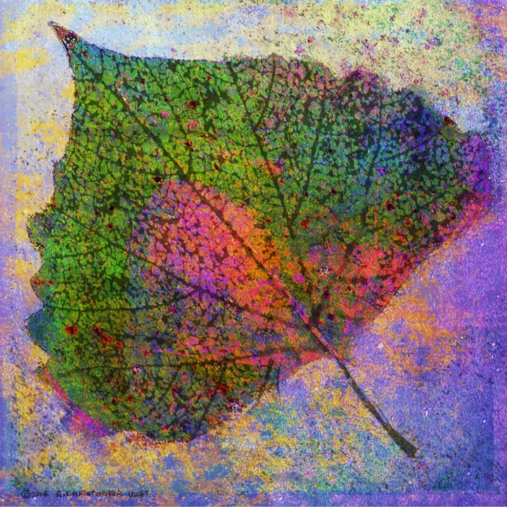 "Cottonwood Leaf" Painting Print on Canvas by Chris Vest