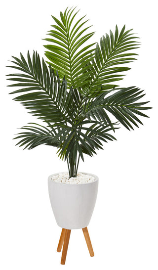 Full view of the entire palm plant in a white planter with stand on a clean white background; no text or diagrams.