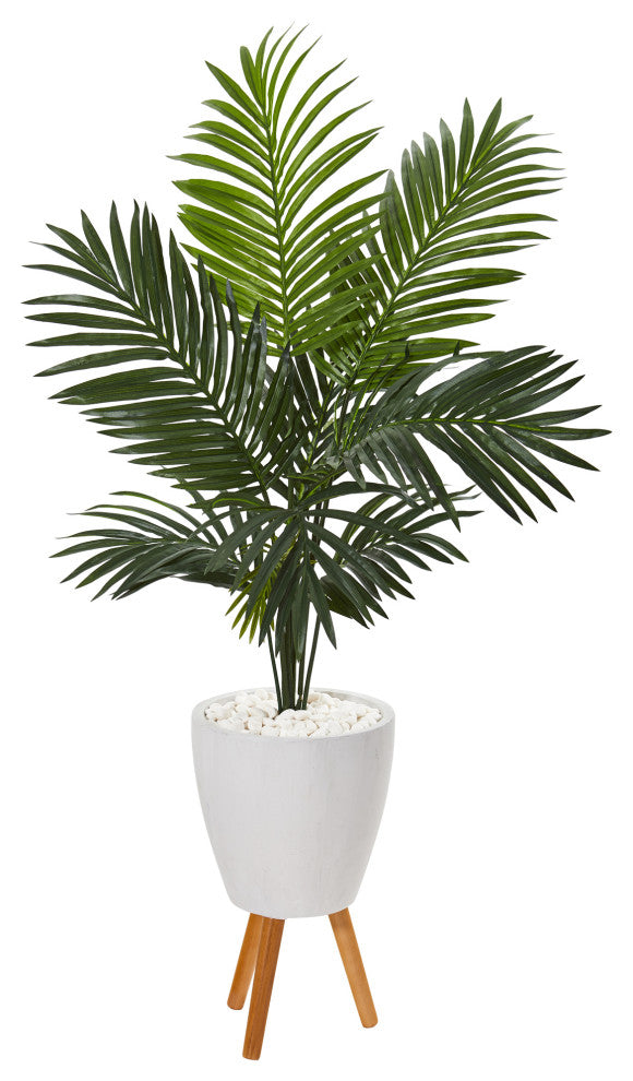 Full view of the entire palm plant in a white planter with stand on a clean white background; no text or diagrams.
