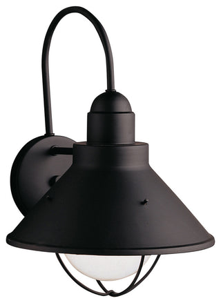 Outdoor Wall 1-Light, Black