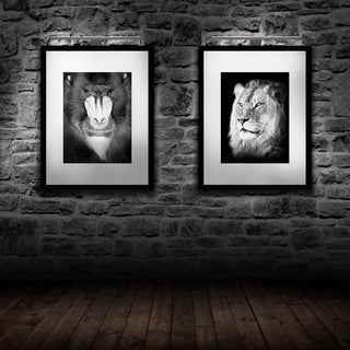 Bazz LED Picture Lamp