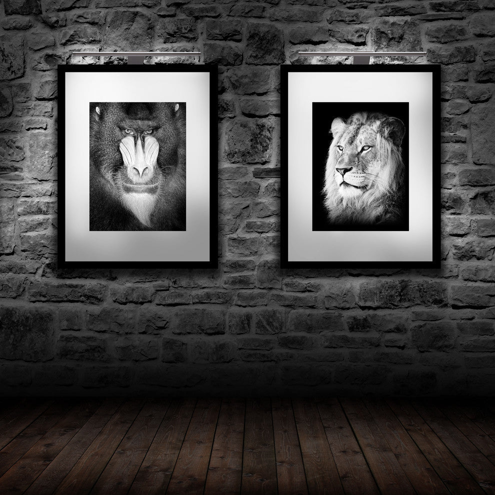 Bazz LED Picture Lamp