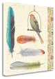 "Feather Tales II" By Daphne Brissonnet, Giclee Print on Gallery Wrap Canvas