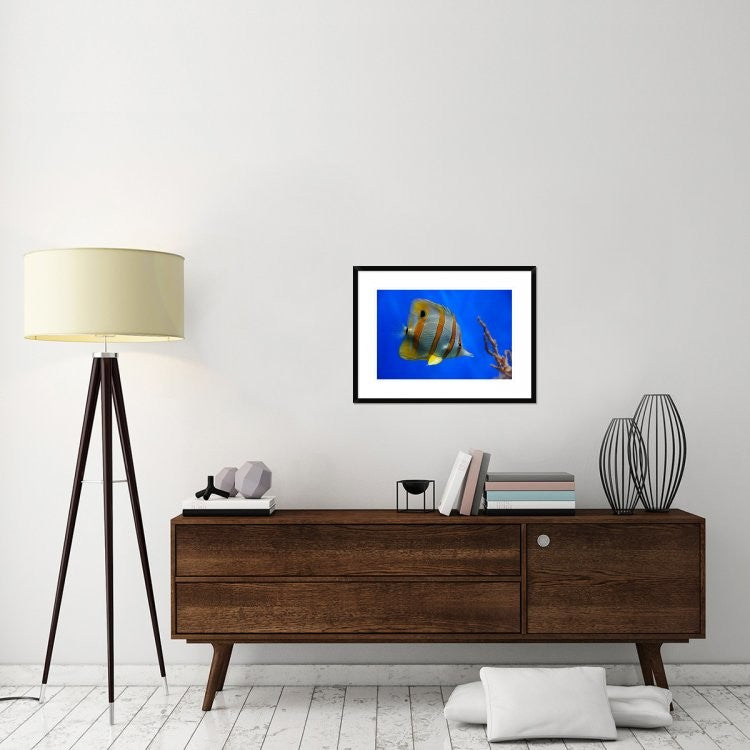 "Tropical Beauty" Framed Digital Print by Jan Lykke, 30x22"