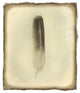"Feather II Vintage" Digital Paper Print by Debra Van Swearingen, 28"x32"