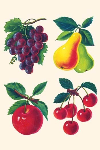 Four Fruits - Canvas Poster 20" x 30"