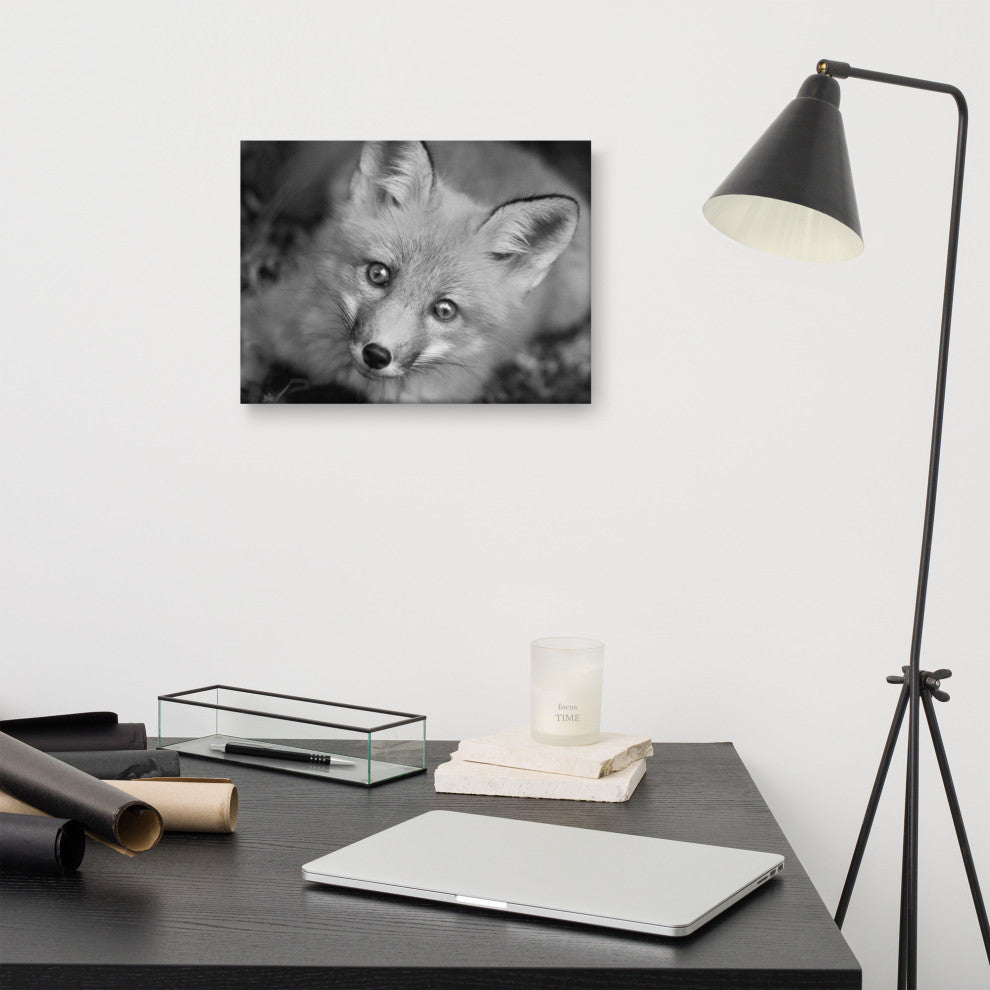 Young Red Fox Face Black and White Wildlife Photograph Canvas Wall Art Print, 12" X 16"