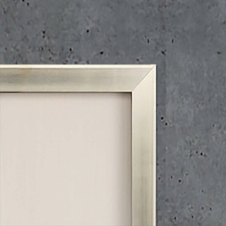 Flock Together Framed Art