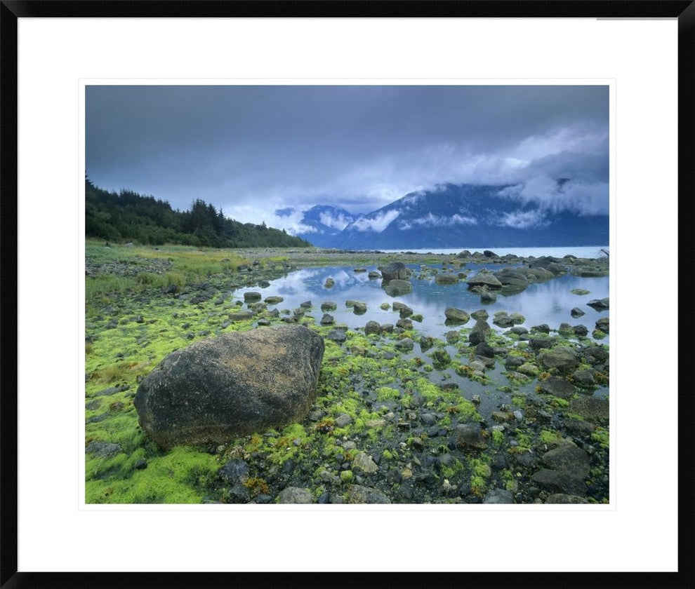 "Low tide revealing algae covered rocks, Alaska"  by Tim Fitzharris, 32x28"