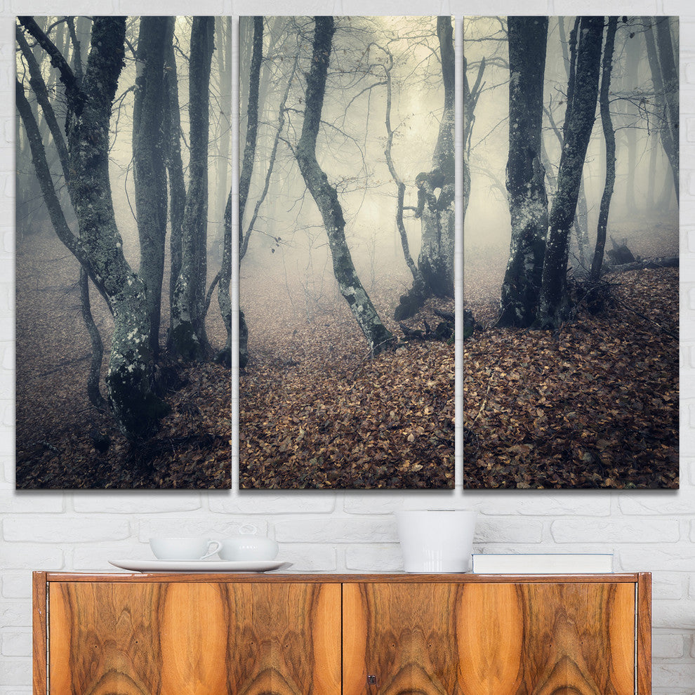 "Mystical Yellow Fog in Fall Forest" Photo Wall Art, 3 Panels, 36"x28"