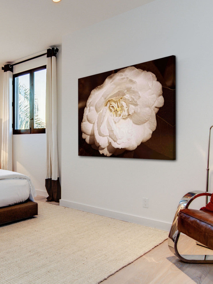 "White and Willing in Sepia" Painting Print on Canvas by Robertson