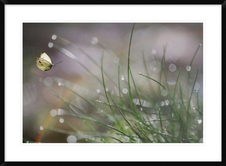 "Imminent Landing" Framed Digital Print by Anna Cseresnjes, 38"x28"
