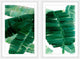 San Diego III Diptych, 40x30