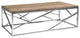 HomeRoots 15" Walnut Veneer and Steel Coffee Table