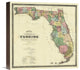 "New Map of The State of Florida, 1870" Canvas Giclee by Columbus Drew, 16"x16"