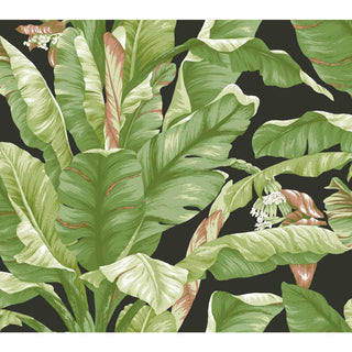 Banana Leaf Peel and Stick Wallpaper