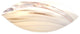 Murano Glass Fossile Centerpiece Bowl
