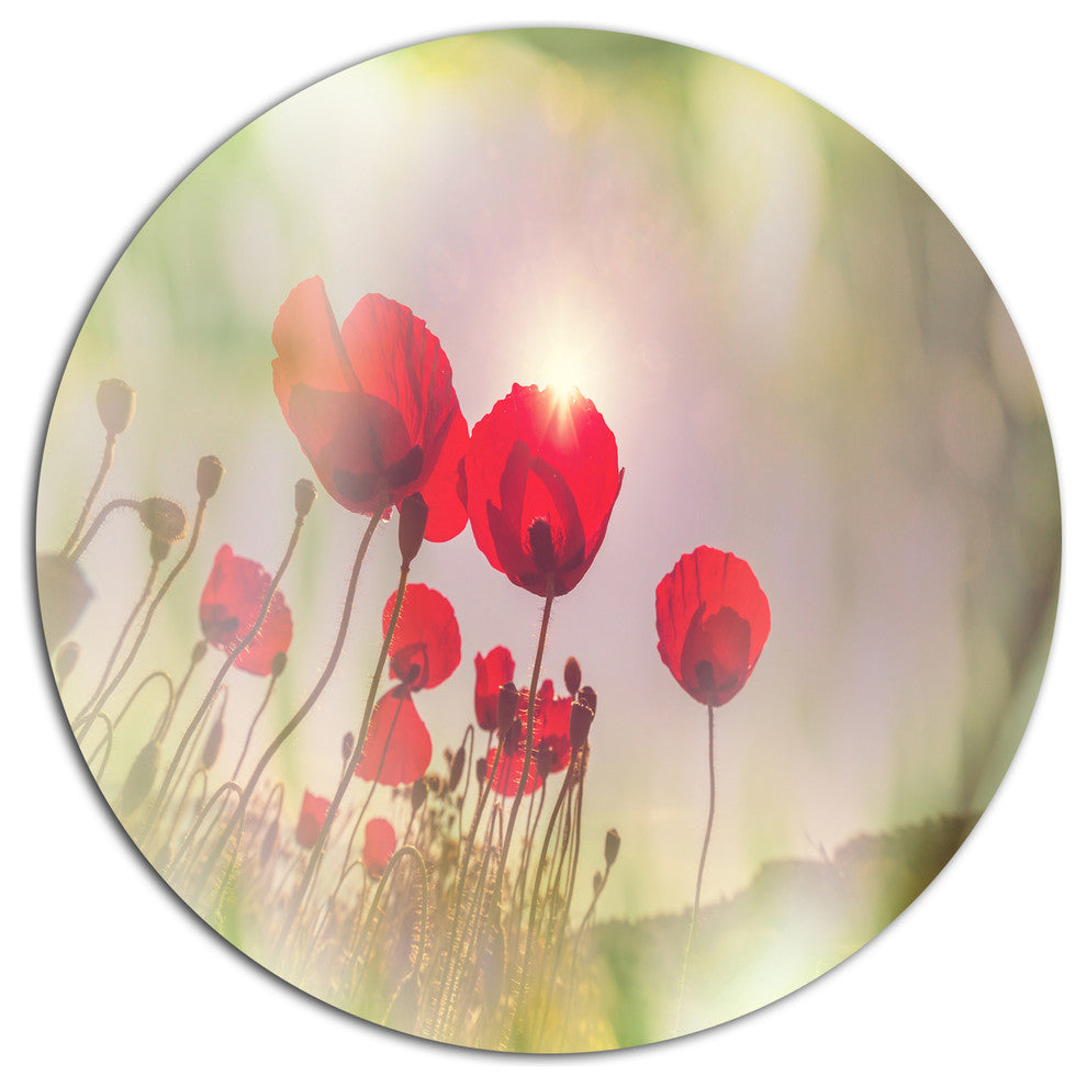 Wild Red Poppy Flowers, Floral Disc Metal Artwork, 36"