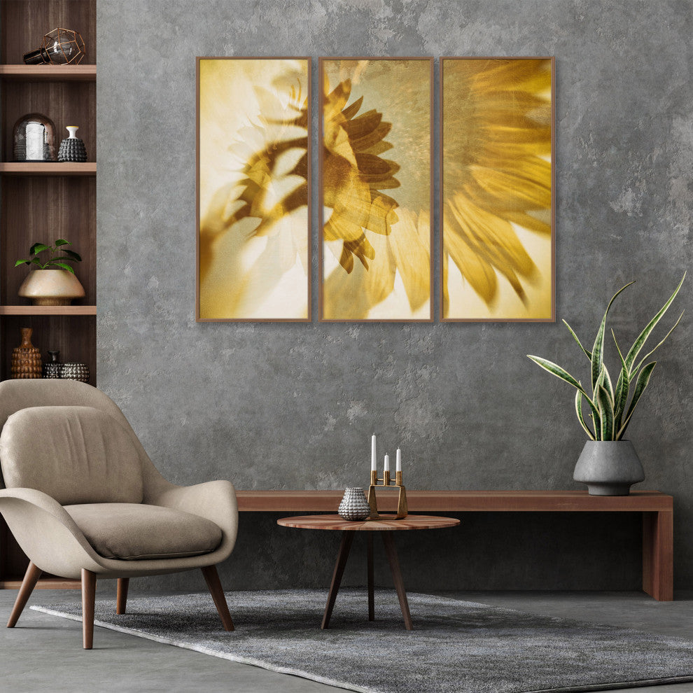 Just like the Sun Framed 3-Piece Wall Art Set by Sherin Abdou, 12"x24", Framed