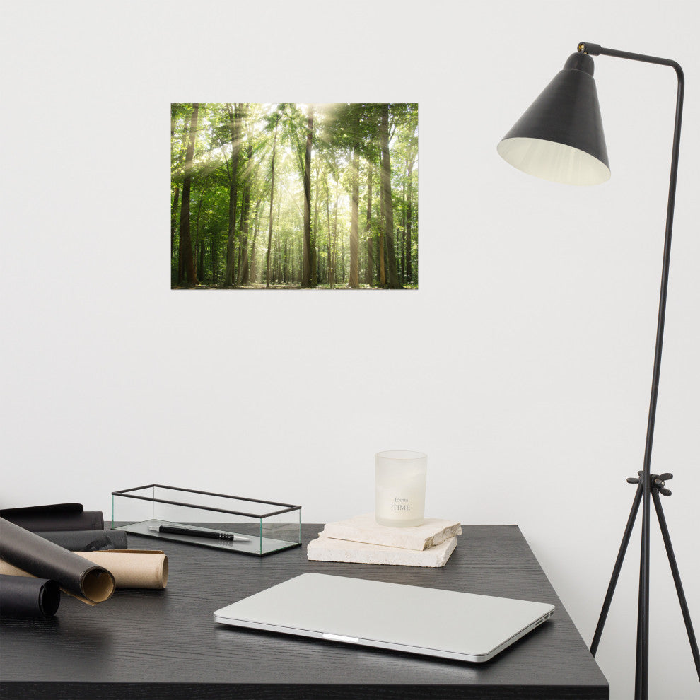Sun Rays Through Treetops Landscape Photo Unframed Wall Art Print, 12" X 16"