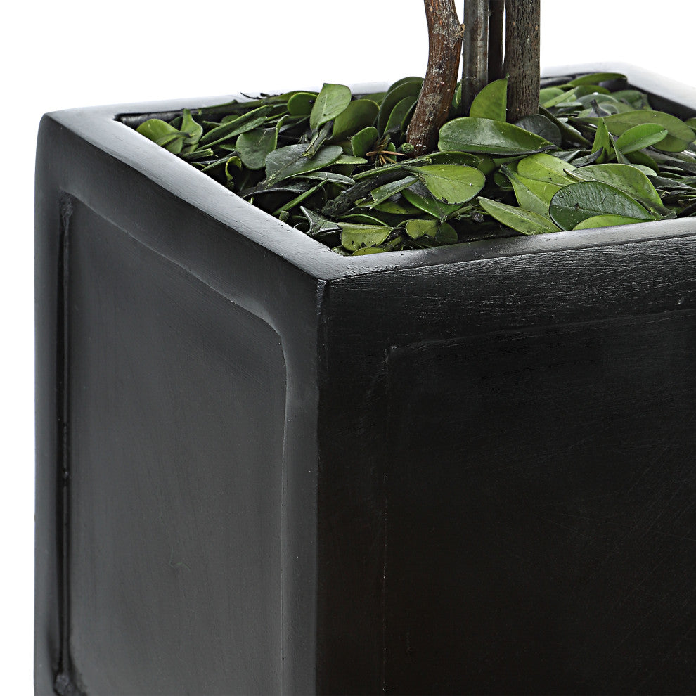 Uttermost Preserved Boxwood Square Topiaries, 2-Piece Set