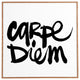 Kal Barteski Carpe Diem Framed Wall Art