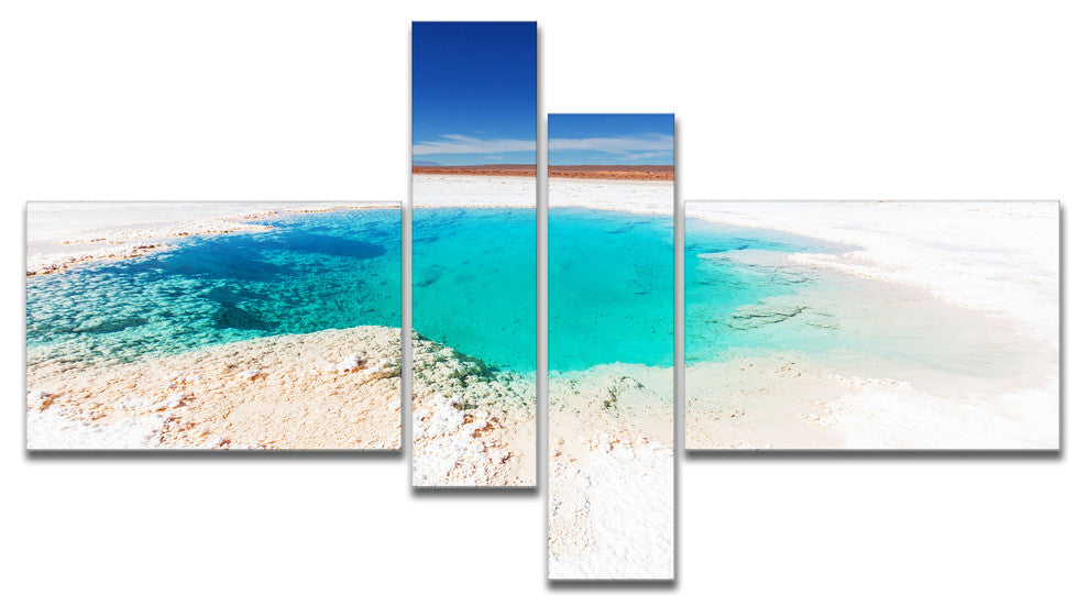 Beautiful Salinas Lake in Argentina, Landscape Canvas Art, 60"x32", 4 panels