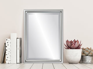 Pasadena Framed Rectangle Mirror, Silver Spray, 21"x25"