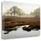 "Island Oak Trees" By Alan Blaustein, Giclee Print on Gallery Wrap Canvas