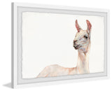 "Hey There Llama" Framed Painting Print, 36"x24"