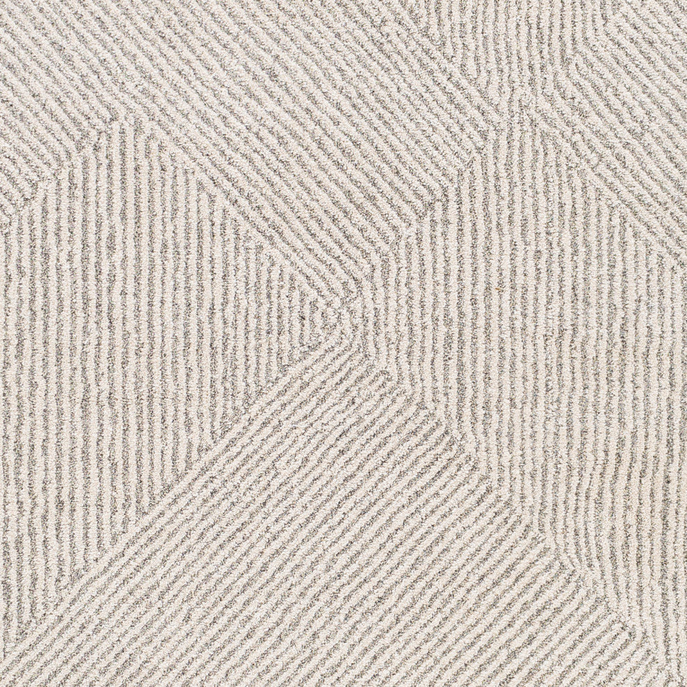 Surya Gavic GVC-2304 Modern Area Rug, 9' x 12' Rectangle