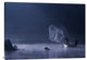 "Capture The Light" Stretched Canvas Giclee by Nunu Rizani, 40x28"