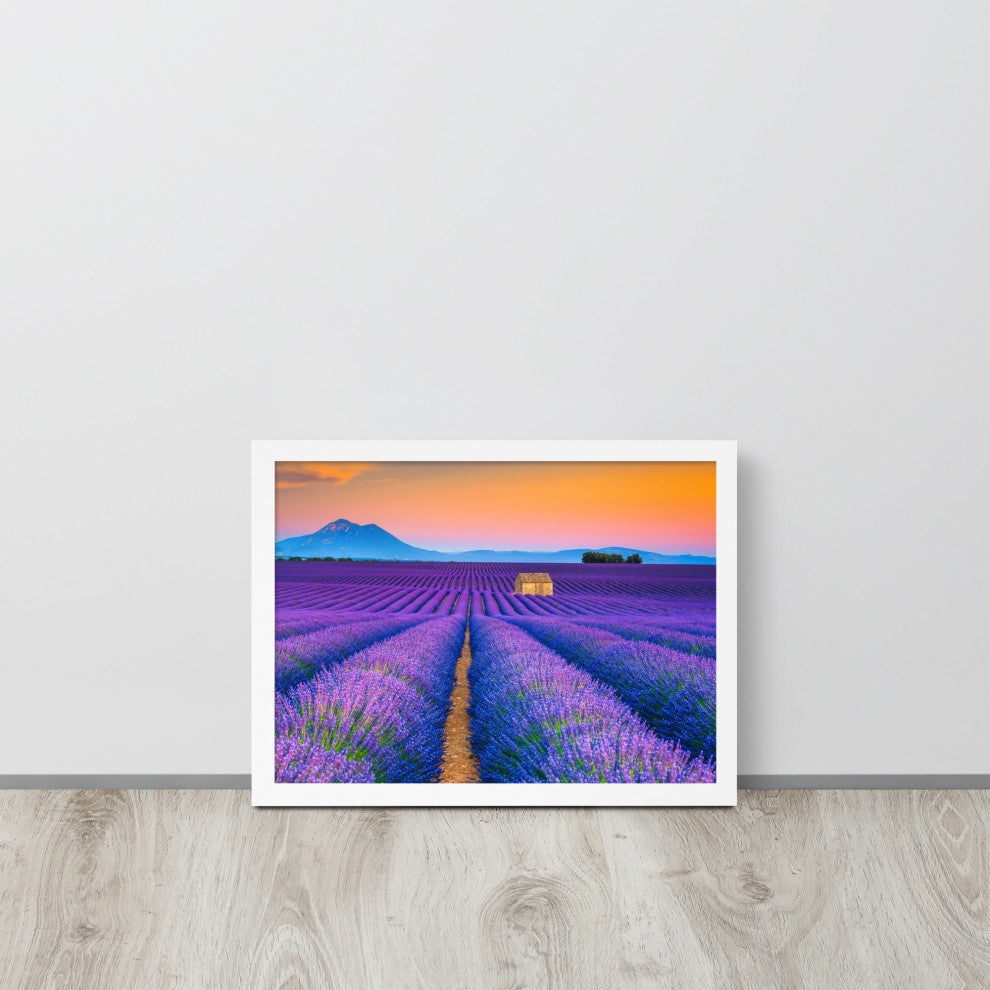 Blooming Lavender Field and Sunset Floral Landscape Framed Photo Wall Art Prints, White, 12" X 16"