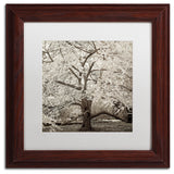 Alan Blaustein 'Hampton Magnolia II' Art, Wood Frame, White Mat, 11x11