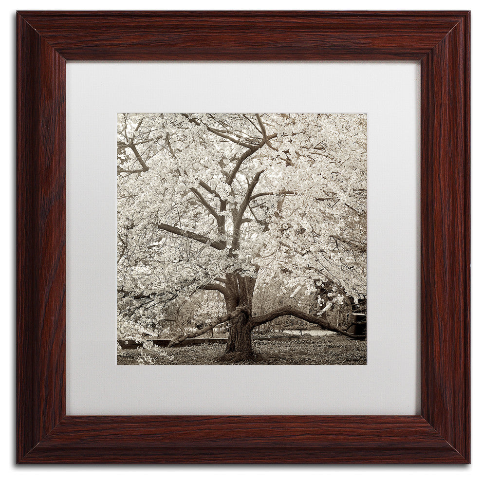 Alan Blaustein 'Hampton Magnolia II' Art, Wood Frame, White Mat, 11x11