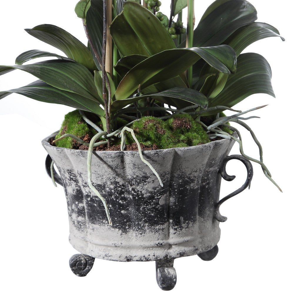 Uttermost Reza Potted Orchid