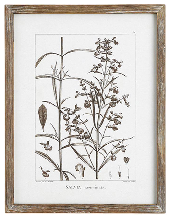 Set of 9 Rustic Sepia White Botanical Leaf Prints Framed Brown 13 in Large Group