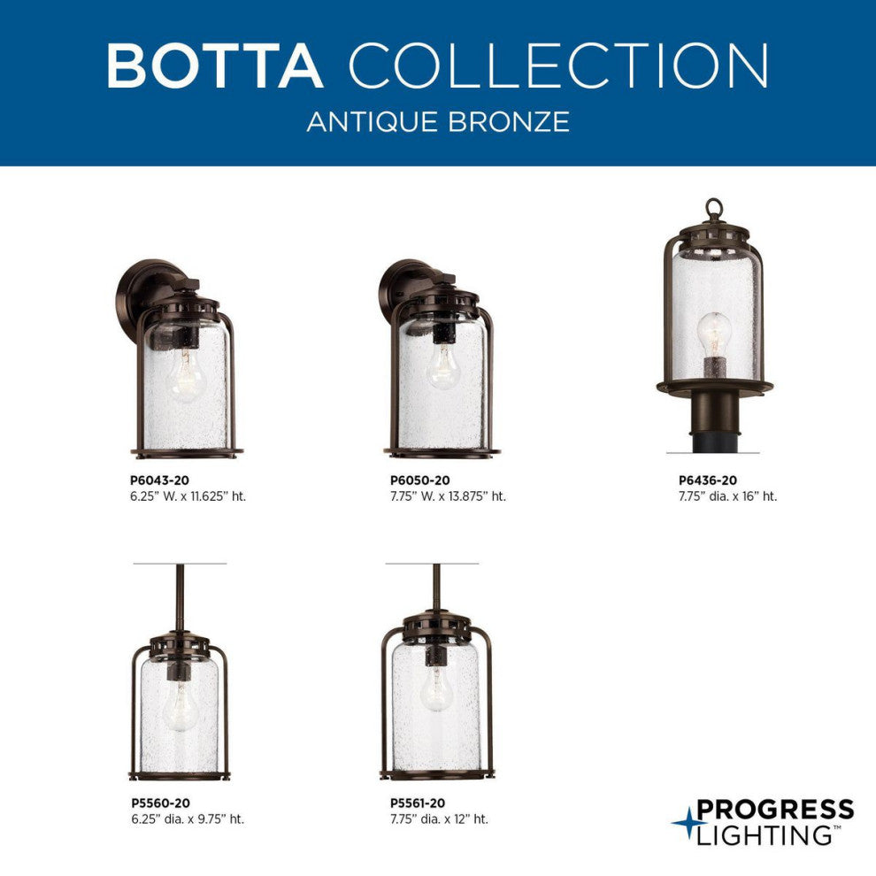 Botta 1-Light Hanging Lantern, Small