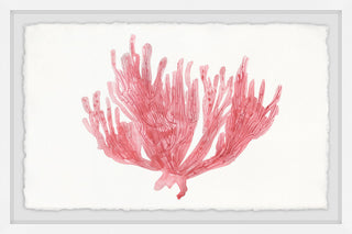 "Lone Coral" Framed Painting Print, 36"x24"