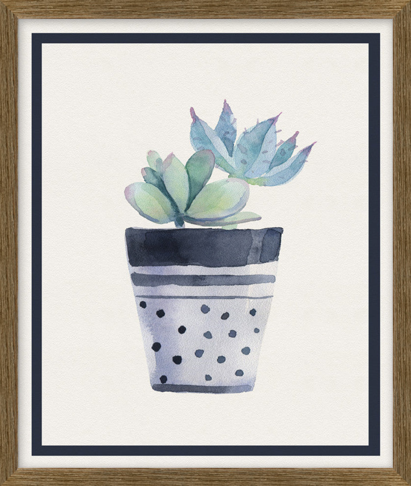Potted Succulent 1, Giclee Reproduction Artwork