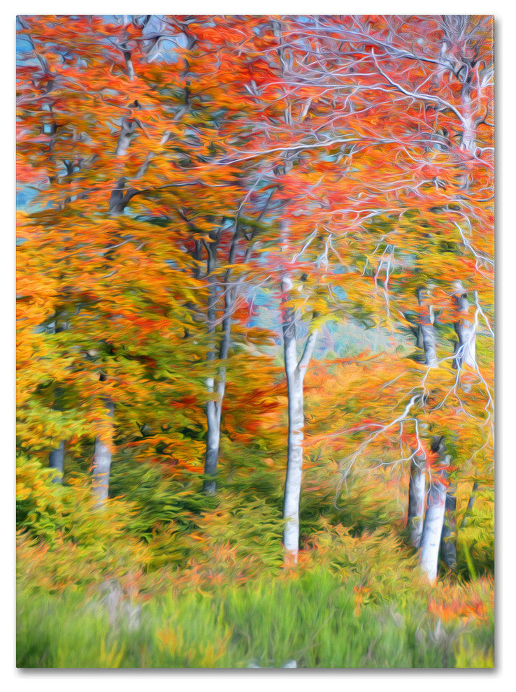 ''The Line it Curves'' Canvas Art by Philippe Sainte-Laudy