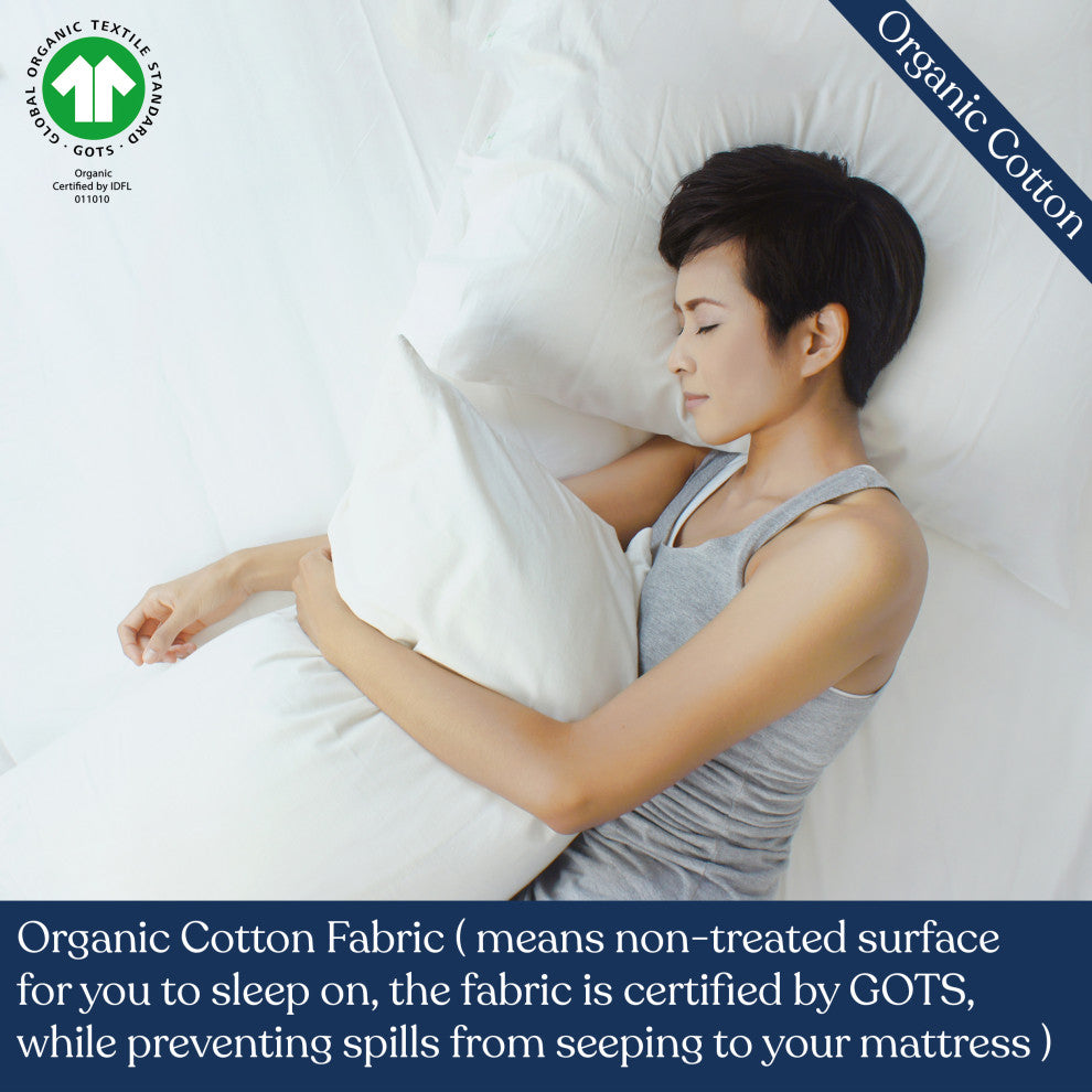 Delara Pillow Protector Set of 2, 300TC, Long Staple Organic Cotton, Standard, 21"x26"