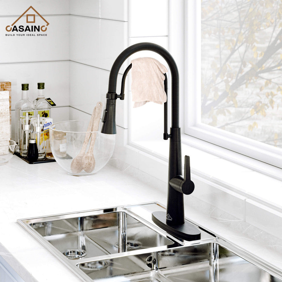 Kitchen Faucet Standard Single-Handle Spring Neck Dual-Function Spray Head, Matte Black
