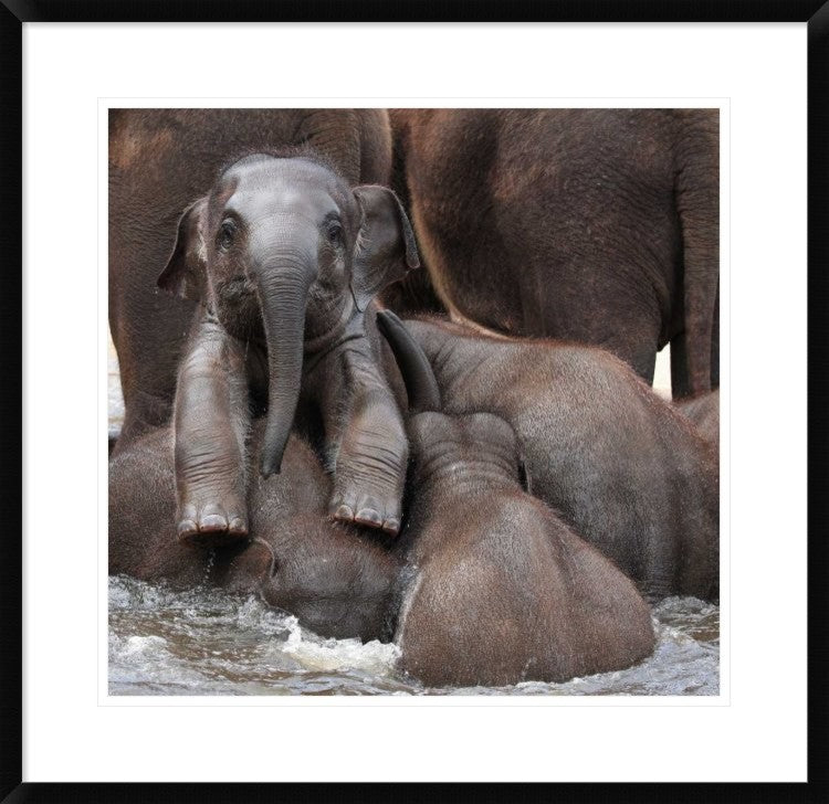 "The Leader Of Tomorrow" Framed Digital Print by Antje Wenner-Braun, 30x29"