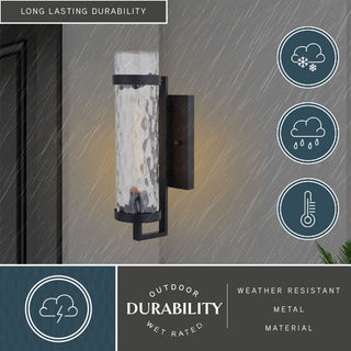 Seymour 1-Light Textured Black Transitional Outdoor Wall Lantern Clear Glass