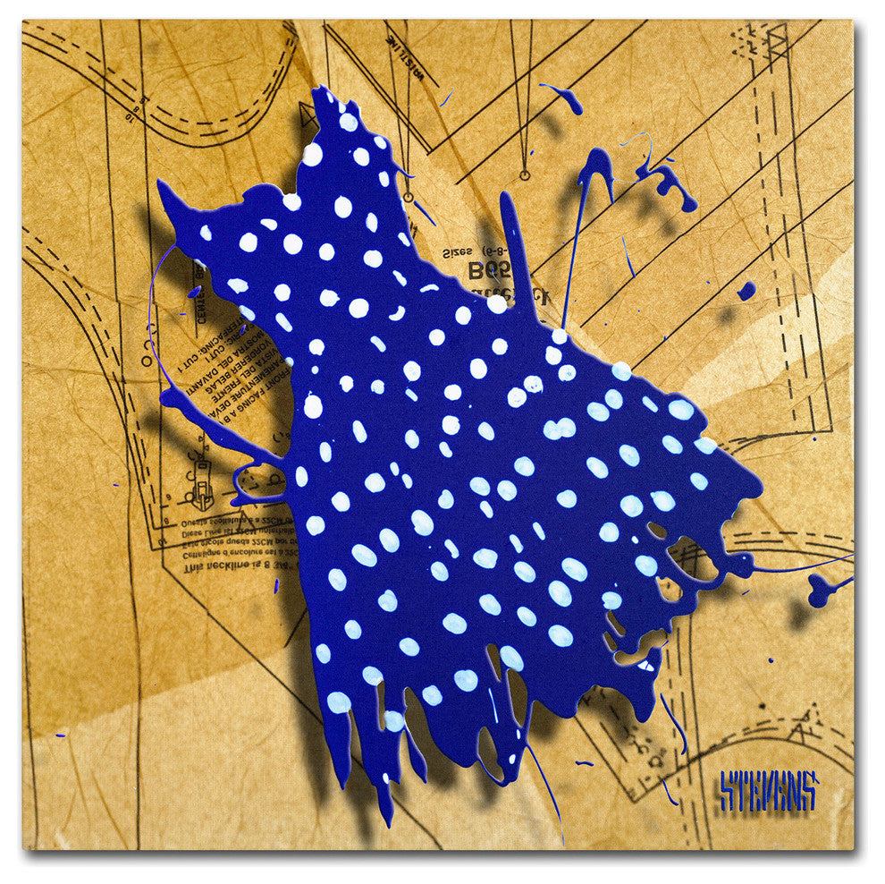 'White on Blue' Canvas Art by Roderick Stevens